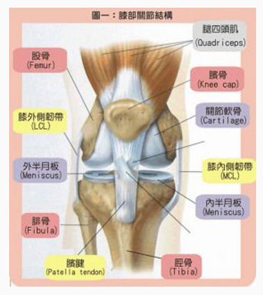 膝骨关节炎